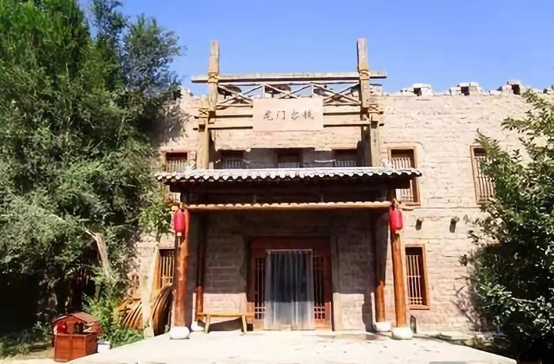 饥饿的松鼠救援